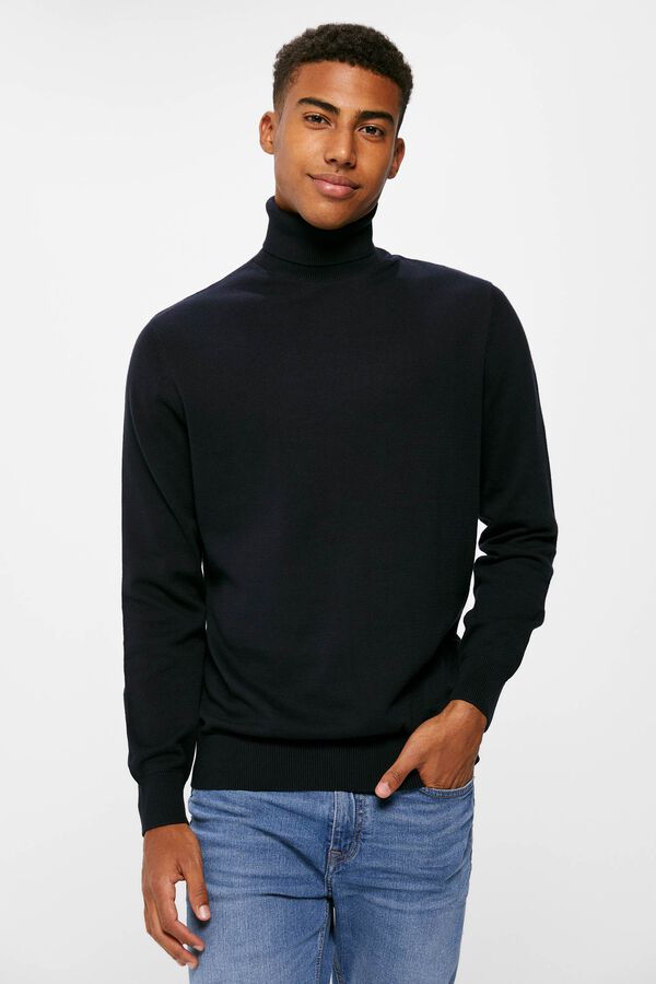 Springfield Camisola b&aacute;sica gola cisne azul