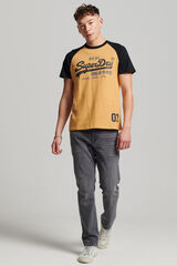 Springfield T-shirt de algodão orgânico mangas raglã e logo Vintage golden