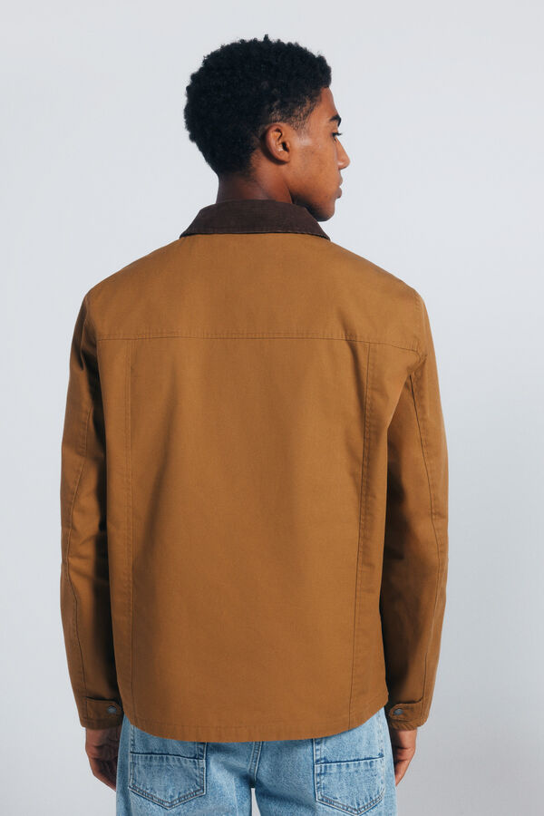 Springfield Parka corta cuello pana amarillo