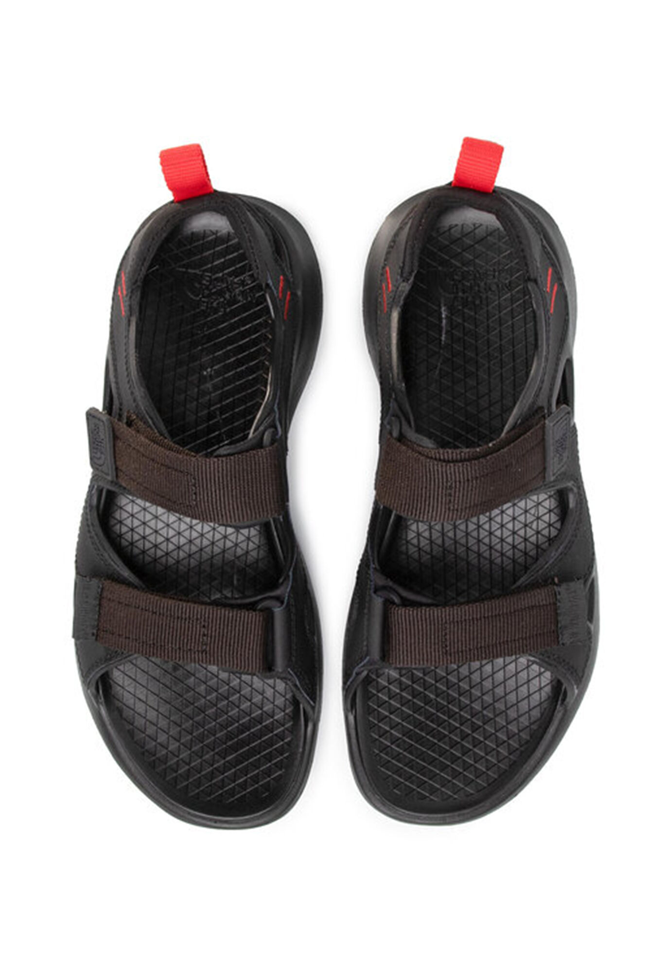 The North Face Sandalias Hedgehog III