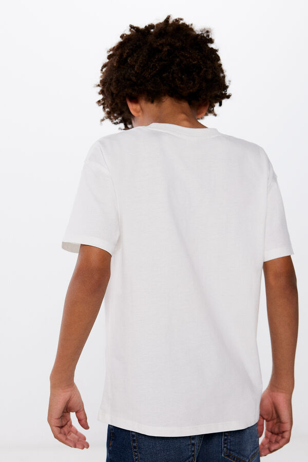 Springfield Kids T-shirt "furious surfers" rapaz bege