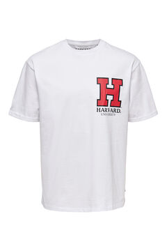Springfield Camiseta manga corta Harvard blanco