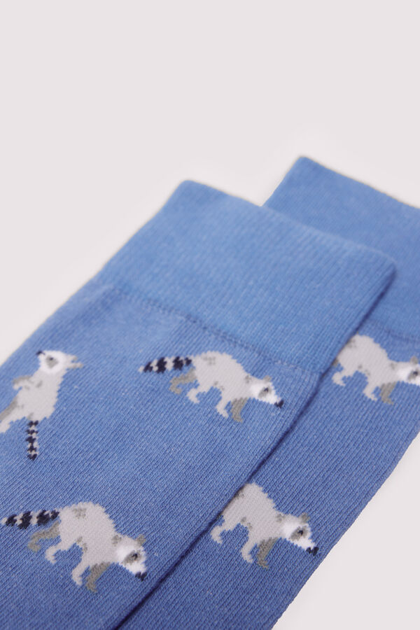 Springfield Meia guaxinim azul