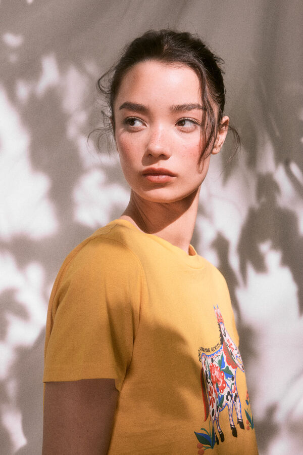 Springfield T-shirt gr&aacute;fico burro "Roots Studio" estampado