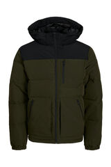 Jack & Jones Casaco acolchoado capuz verde
