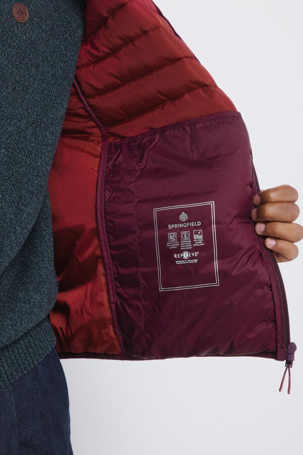 Springfield Chaqueta acolchada burdeos