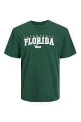 Jack & Jones PLUS Camiseta fit est&aacute;ndar verde