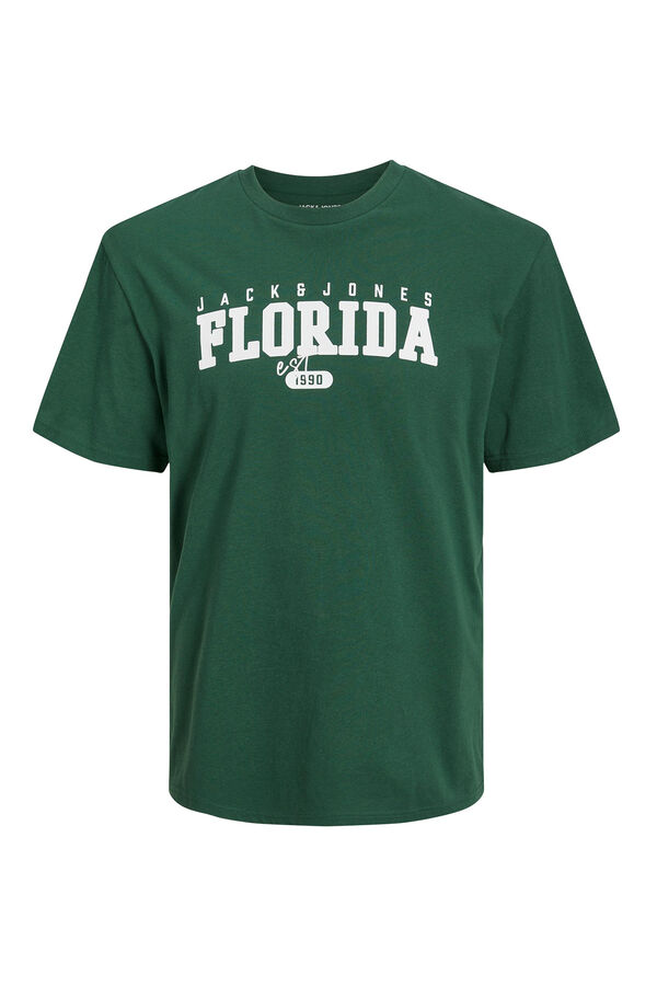 Jack & Jones PLUS Camiseta fit est&aacute;ndar verde