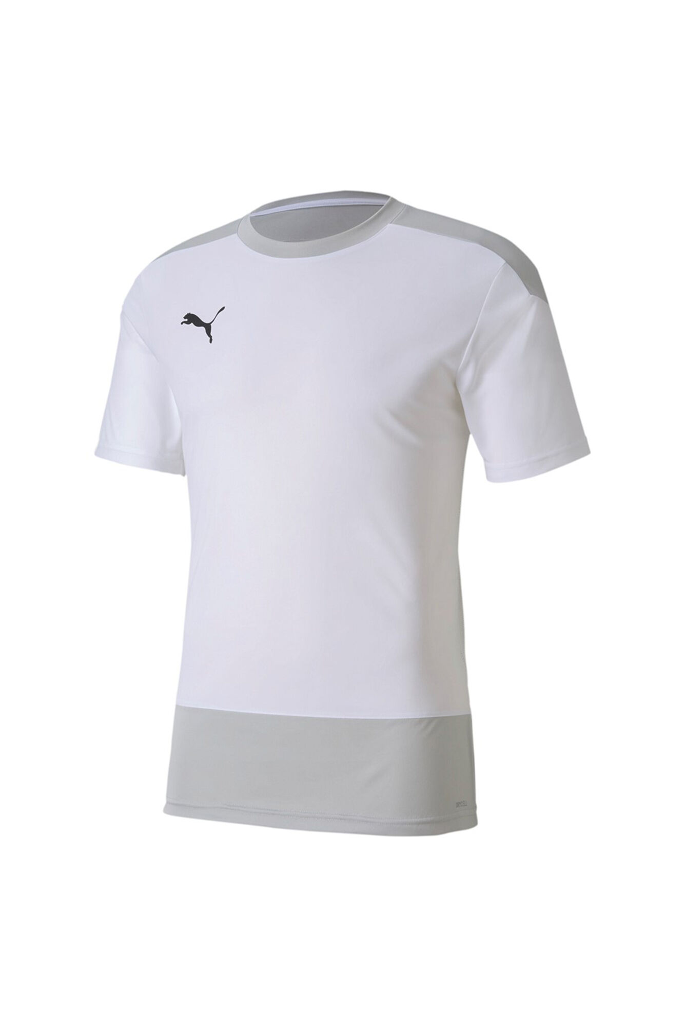 Puma teamGOAL 23 Training Jersey
