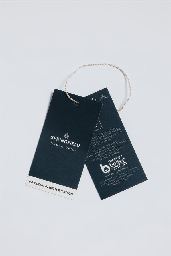 Springfield Camisa popel&iacute;n rayas azul