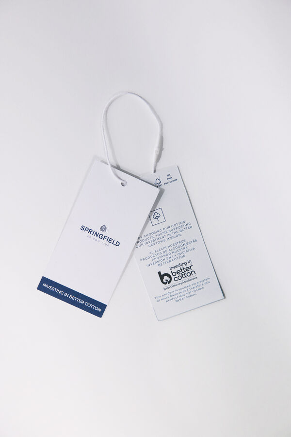 Springfield Camisa aos quadrados azul