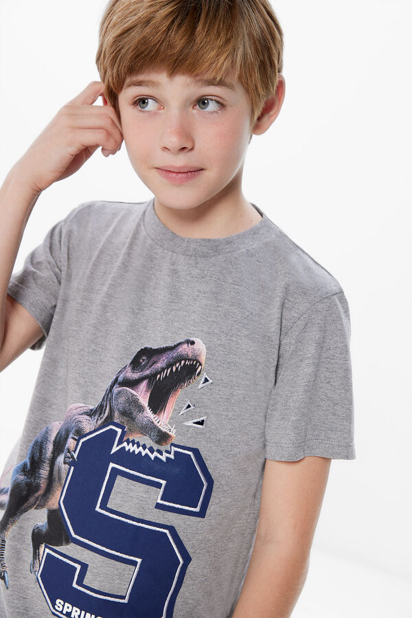 Springfield Kids Camiseta print dinosaurio ni&ntilde;o gris