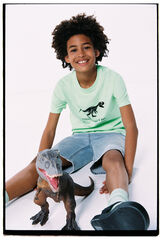 Springfield Kids Camiseta t-rex ni&ntilde;o verde