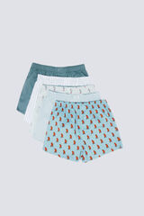 Springfield Pacote com 5 cuecas de popelina estampadas azul