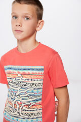 Springfield Kids Camiseta &aacute;rbol ni&ntilde;o estampado