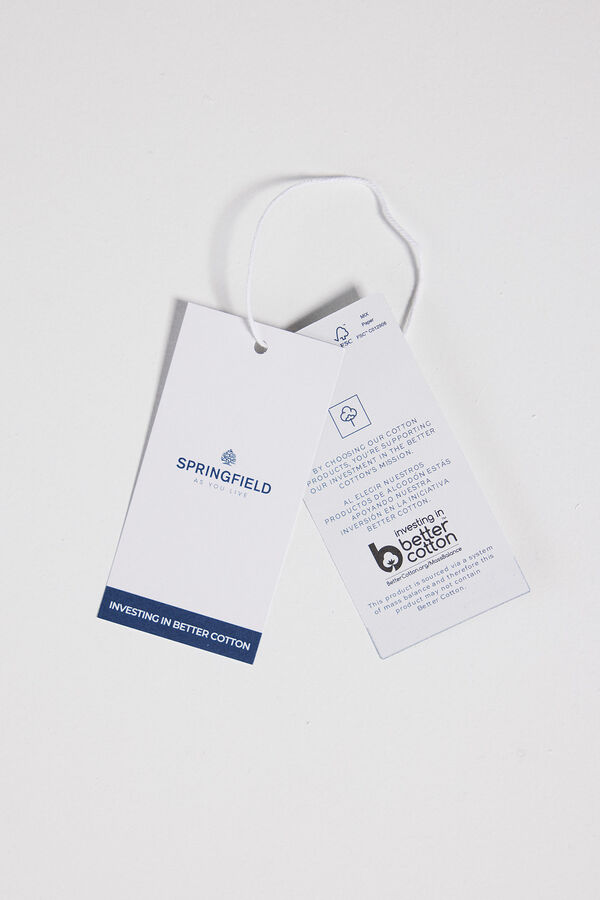 Springfield Camiseta Gr&aacute;fica Paisaje gris