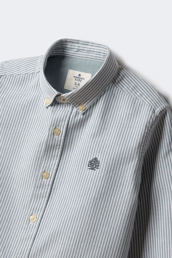 Springfield Kids Camisa pinpoint raya ni&ntilde;o azul