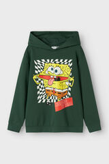 Name it Sweatshirt do Bob Capuz Cal&ccedil;a Quadrada verde
