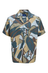 Jack & Jones PLUS Camisa estampada PLUS gris