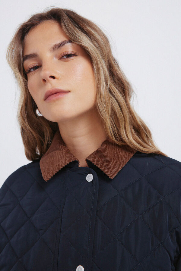 Springfield Chaqueta acolchada cuello pana azul