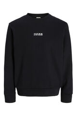 Jack & Jones PLUS Sudadera regular fit PLUS negro
