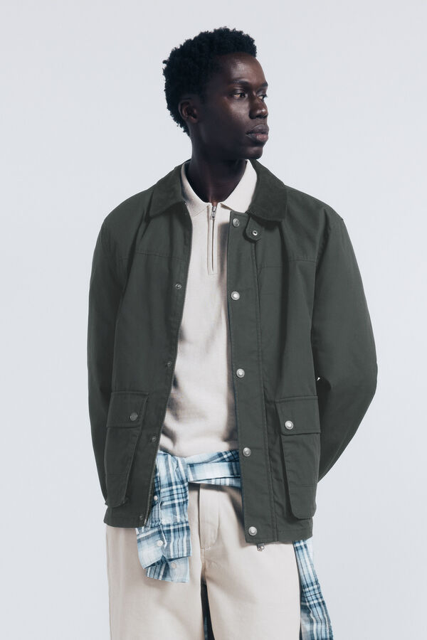 Springfield Parka curta de gola veludo Caqui escuro