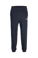 Jack & Jones PLUS Jogger liso Plus azul