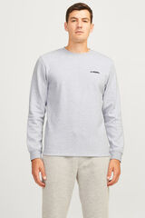 JJ REBEL Sudadera regular fit gris