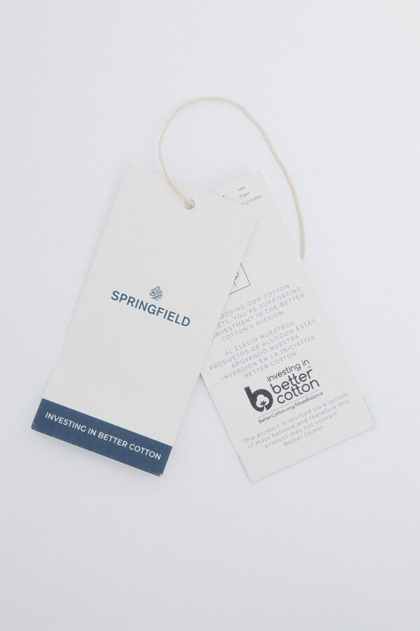 Springfield Camisa oxford tencel gris