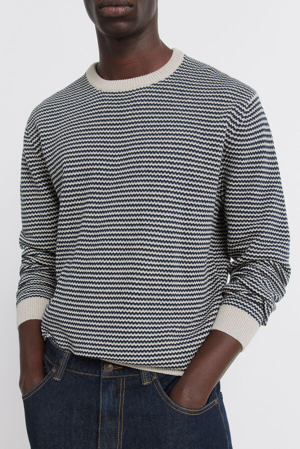 Springfield Jersey estructura bicolor azul