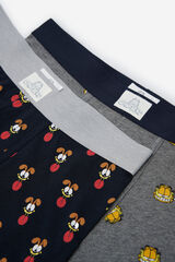 Springfield Pack 2 boxers Garfield gris oscuro