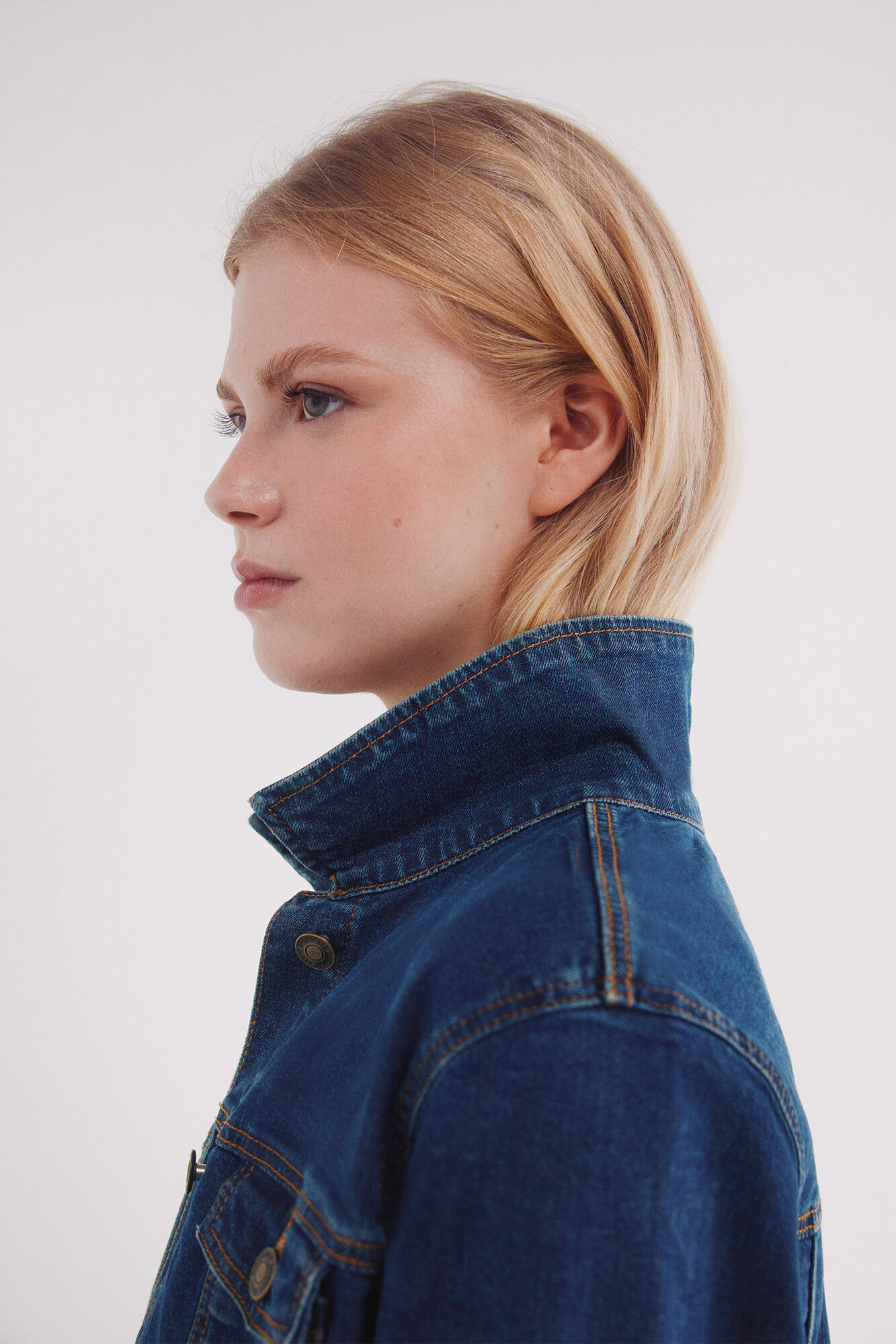 Springfield Cazadora vaquera algod&oacute;n