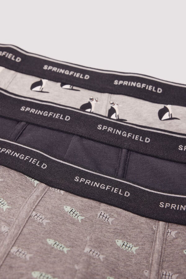 Springfield Pacote com 3 boxers para gatos e peixes cinzento