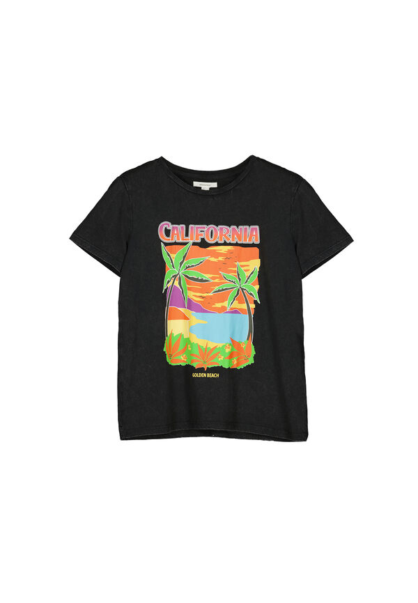 Springfield Camiseta "California" gris oscuro