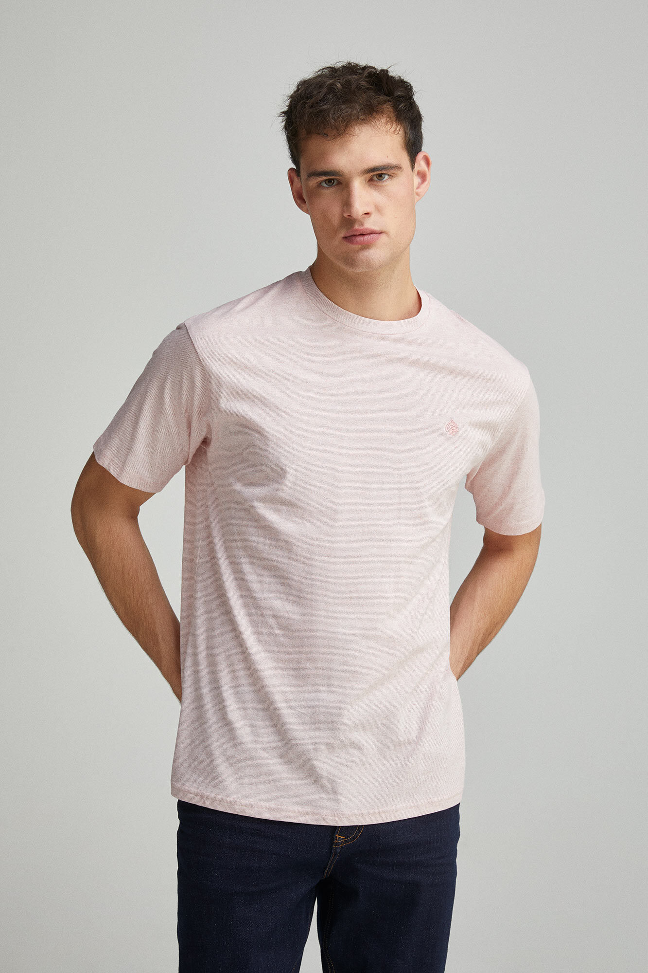 Springfield Camisola microrriscas