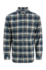 Jack & Jones PLUS Camisa b&aacute;sica cuadros azul