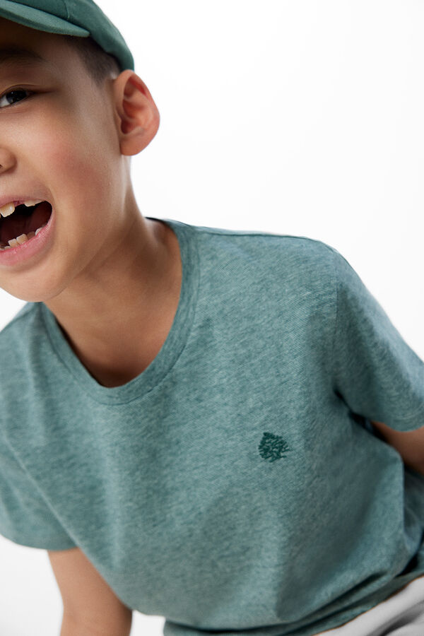 Springfield Kids Camiseta rayas finas ni&ntilde;o verde