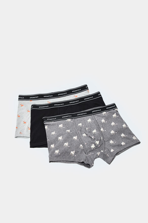 Springfield Pack 3 boxers cães preto