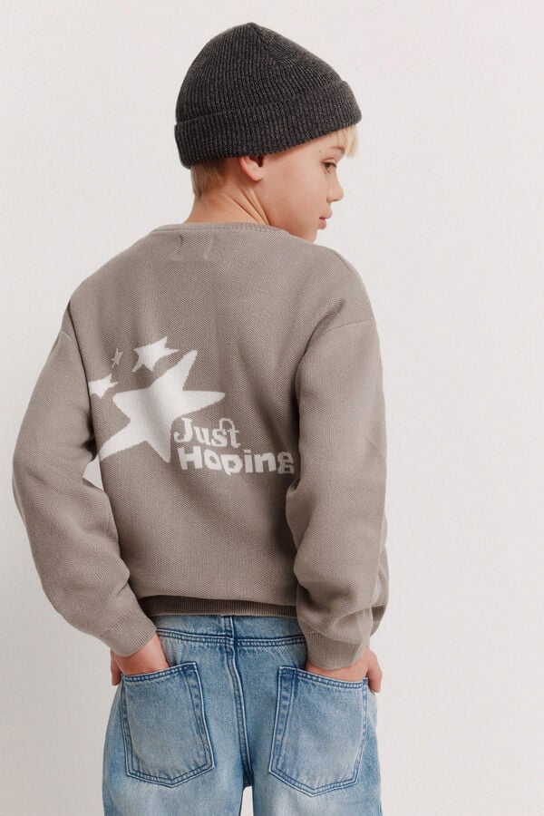 Springfield Kids Camisola infantil "Just Hopping" cinzento