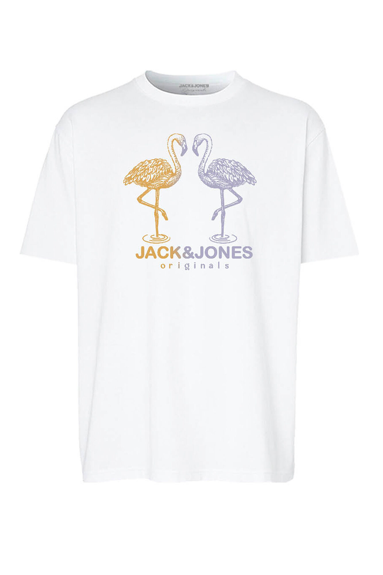 Jack & Jones PLUS Camiseta regular fit estampa PLUS