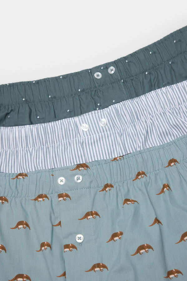 Springfield Pack de 3 cuecas de popelina estampadas azul