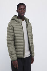 Springfield Chaqueta acolchada capucha verde