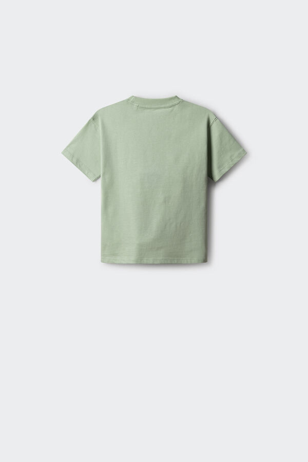 Springfield Kids Camiseta Spiderman ni&ntilde;o verde