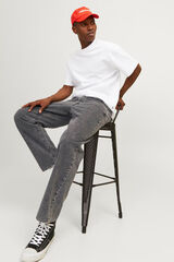 Jack & Jones Jeans Baggy Fit gris