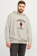 Jack & Jones PLUS Sudadera capucha con dibujo estampado PLUS gris
