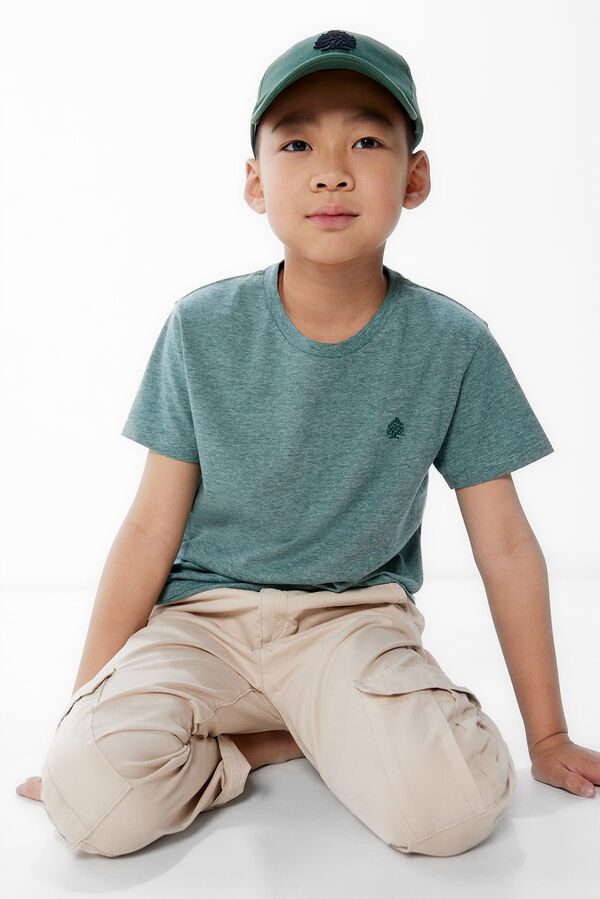 Springfield Kids Camiseta rayas finas ni&ntilde;o verde