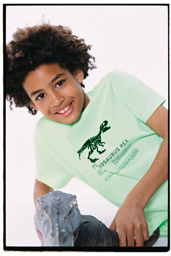 Springfield Kids Camiseta t-rex ni&ntilde;o verde