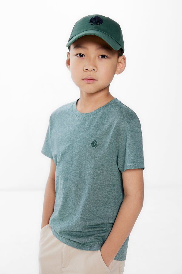 Springfield Kids Camiseta rayas finas ni&ntilde;o verde