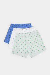 Springfield Pack 3 cuecas tecido popelina estampadas azul