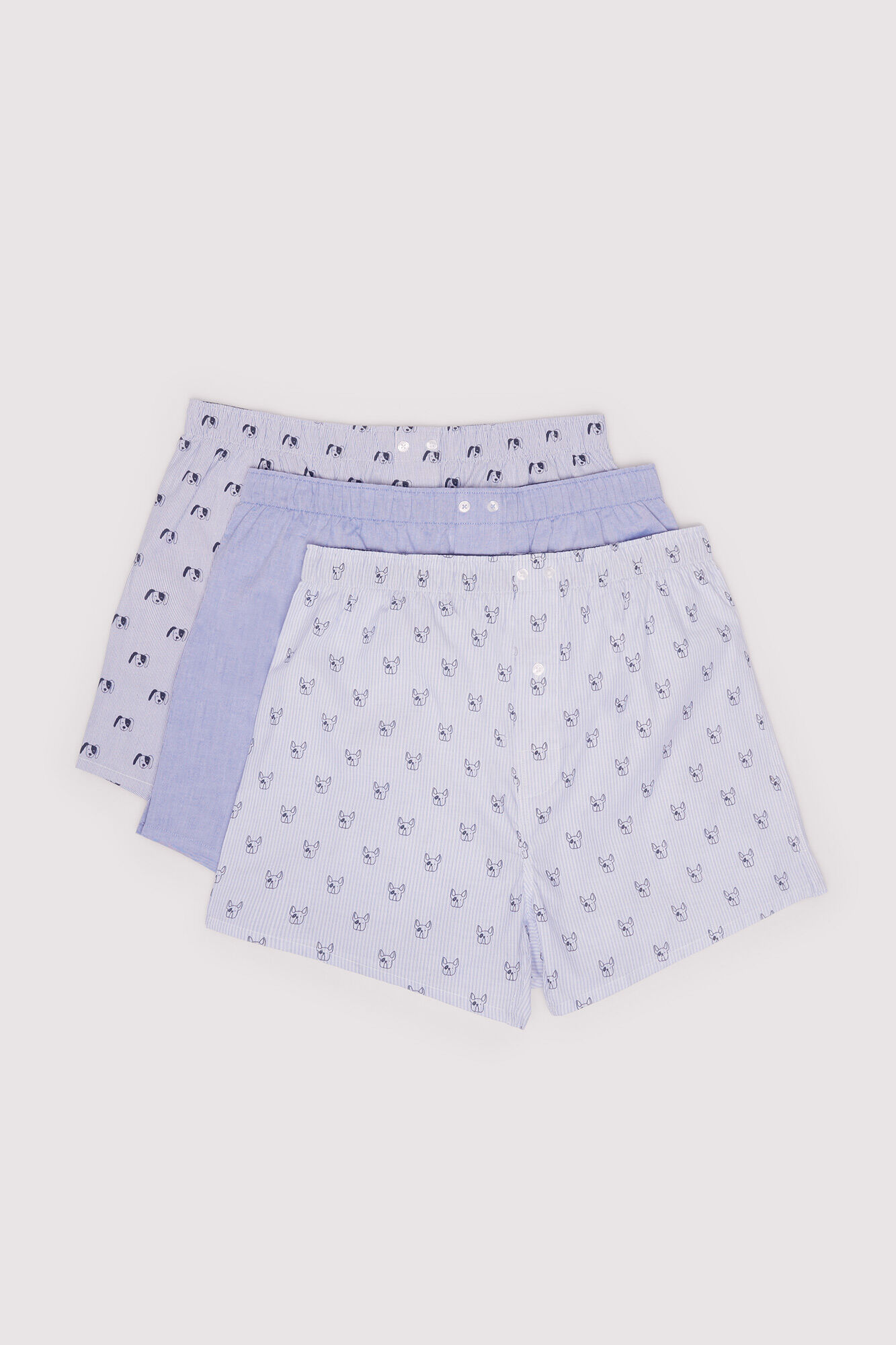 Springfield Pack 3 boxers perros